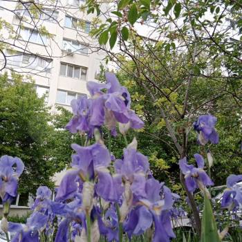 Продается 1-комнатная квартира, 38 м²