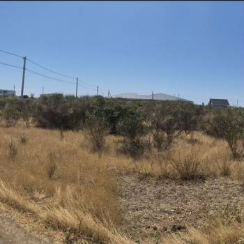 Продается Участок, 1600 м²