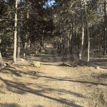 Продается Участок, 460 м²