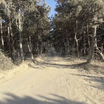 Продается Участок, 460 м²