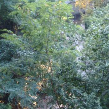 Продается 2-х комнатная квартира, 51,6 м²