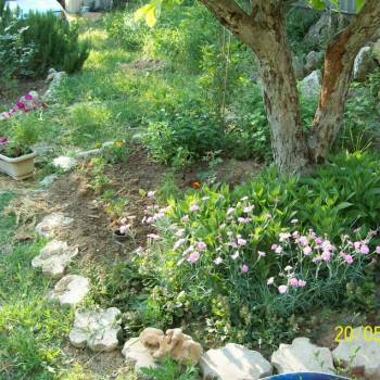 Продается Нежилое помещение, 226 м²