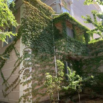 Продается Дом, 250 м²