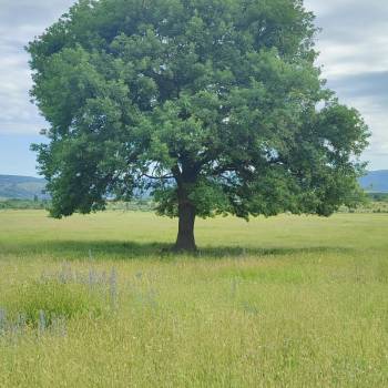 Продается Участок, 920 м²