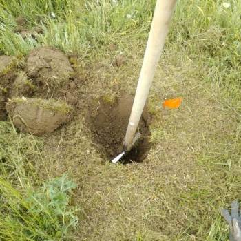 Продается Участок, 920 м²