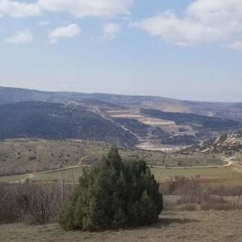 Продается Участок, 600 м²