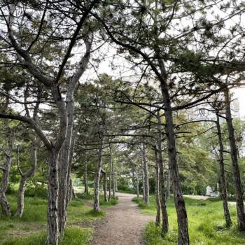 Продается 2-х комнатная квартира, 58 м²