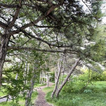 Продается 2-х комнатная квартира, 58 м²