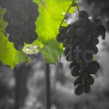 Продается Участок, 600 м²