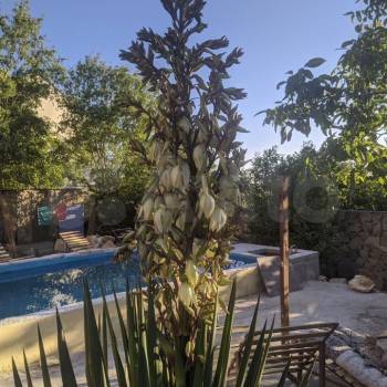 Сдается Комната, 18 м²