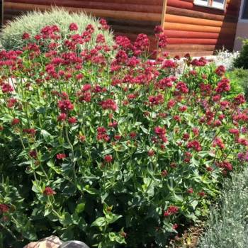 Сдается Комната, 23 м²