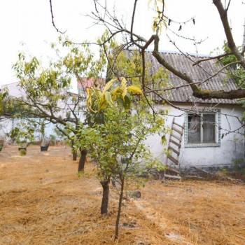 Продается Дом, 30 м²