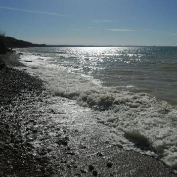 Сдается Дом, 297 м²