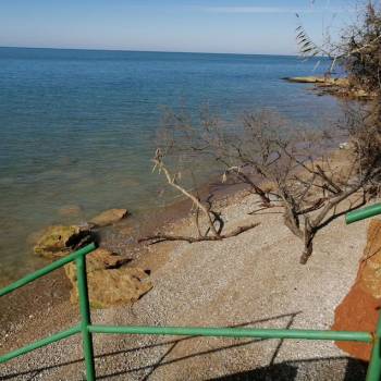 Сдается Дом, 297 м²