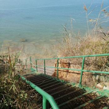 Сдается Дом, 297 м²