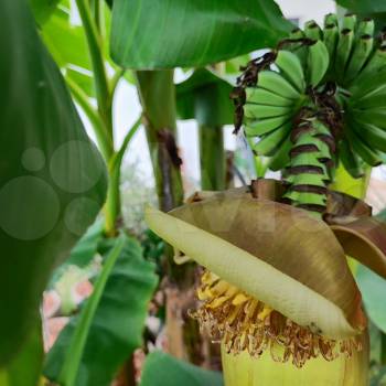 Сдается Дом, 47 м²