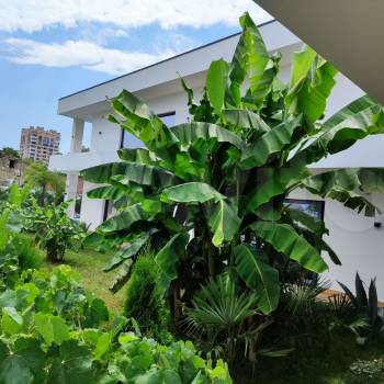 Сдается Дом, 47 м²