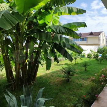 Сдается Дом, 47 м²