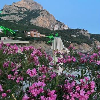 Продается 1-комнатная квартира, 22,5 м²