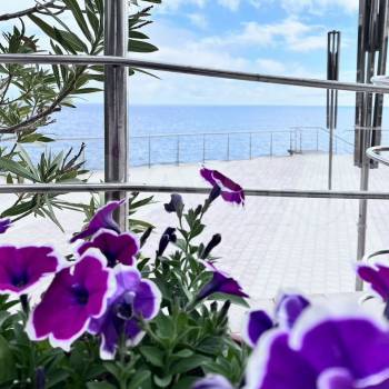 Продается 1-комнатная квартира, 22,5 м²