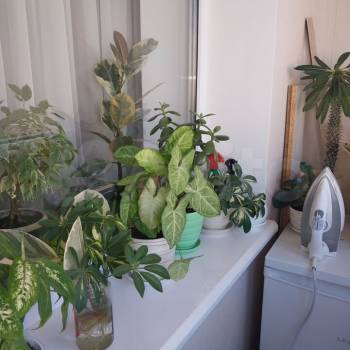 Продается 2-х комнатная квартира, 51 м²