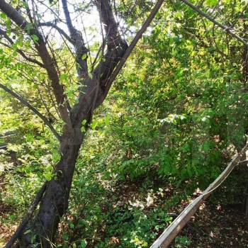 Продается Дом, 12 м²