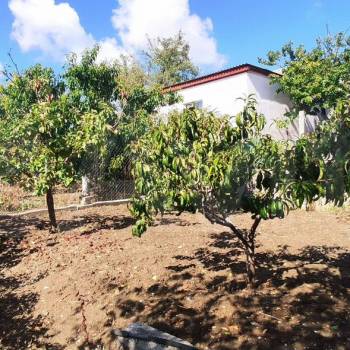 Продается Дом, 12 м²