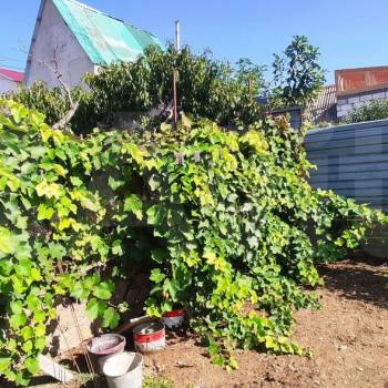 Продается Дом, 12 м²