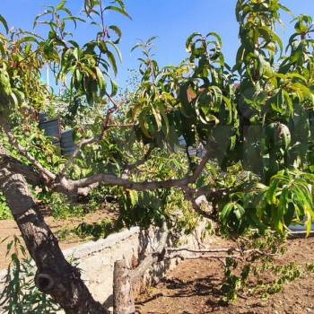 Продается Дом, 12 м²