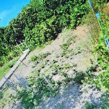 Продается Участок, 558 м²