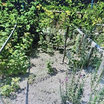 Продается Участок, 558 м²