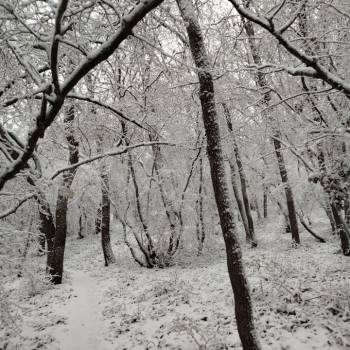 Продается Дом, 43 м²