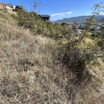 Продается Участок, 500 м²