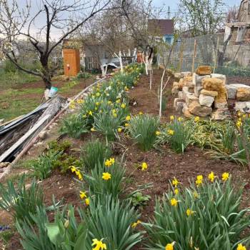 Продается Дом, 12 м²