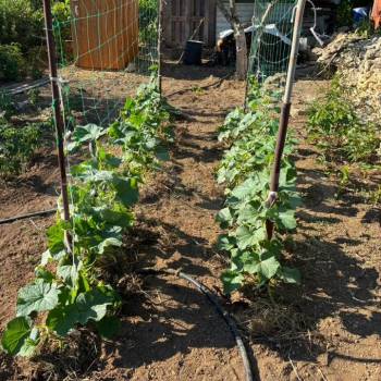 Продается Дом, 12 м²