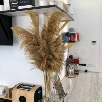 Сдается 1-комнатная квартира, 55 м²