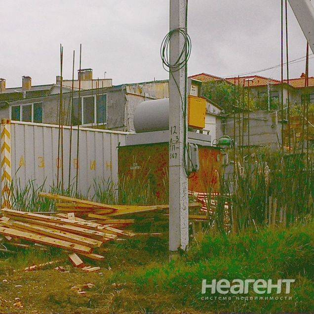 Фотография №4