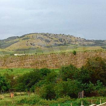 Продается Участок, 800 м²