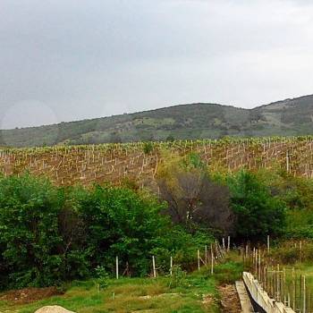 Продается Участок, 800 м²