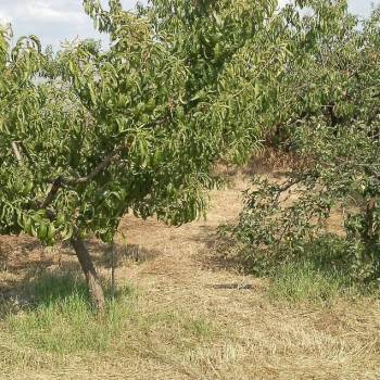 Продается Дом, 68 м²