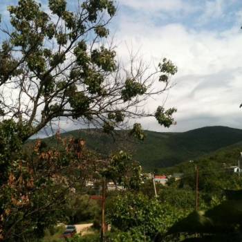 Продается Участок, 500 м²