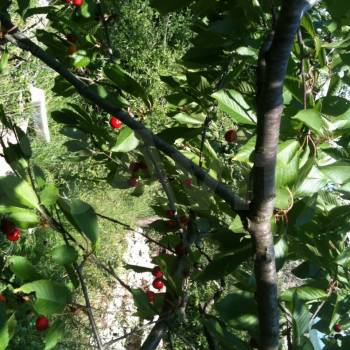 Продается Участок, 500 м²