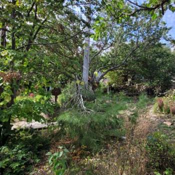 Продается Участок, 1000 м²