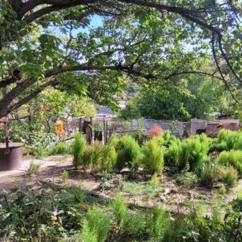 Продается Участок, 1000 м²