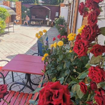 Продается Нежилое помещение, 295,8 м²