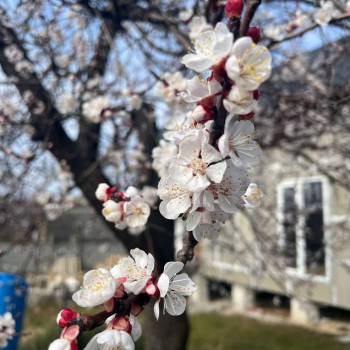 Продается Дом, 130 м²