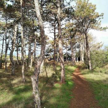 Продается Дом, 125 м²