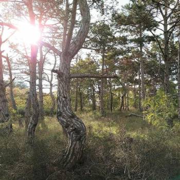 Продается Дом, 125 м²