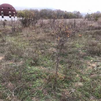 Продается Участок, 1000 м²