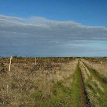 Продается Участок, 29000 м²